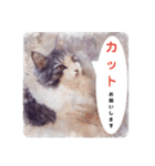 美容院予約にも！のんちゃんスタンプ（個別スタンプ：1）