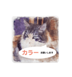 美容院予約にも！のんちゃんスタンプ（個別スタンプ：2）