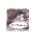 美容院予約にも！のんちゃんスタンプ（個別スタンプ：3）