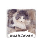 美容院予約にも！のんちゃんスタンプ（個別スタンプ：9）