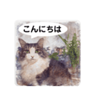 美容院予約にも！のんちゃんスタンプ（個別スタンプ：10）