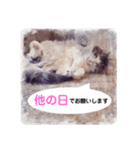 美容院予約にも！のんちゃんスタンプ（個別スタンプ：13）