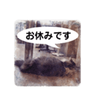 美容院予約にも！のんちゃんスタンプ（個別スタンプ：14）