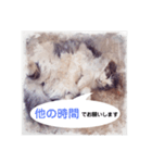 美容院予約にも！のんちゃんスタンプ（個別スタンプ：15）