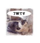 美容院予約にも！のんちゃんスタンプ（個別スタンプ：18）