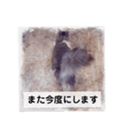 美容院予約にも！のんちゃんスタンプ（個別スタンプ：21）