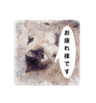 美容院予約にも！のんちゃんスタンプ（個別スタンプ：26）
