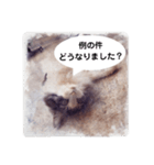 美容院予約にも！のんちゃんスタンプ（個別スタンプ：31）