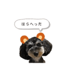 コロン©愛 2（個別スタンプ：15）