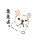 使える関西弁フレブル犬（個別スタンプ：1）
