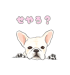 使える関西弁フレブル犬（個別スタンプ：3）