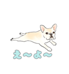 使える関西弁フレブル犬（個別スタンプ：4）