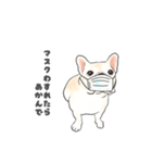 使える関西弁フレブル犬（個別スタンプ：13）