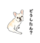 使える関西弁フレブル犬（個別スタンプ：16）