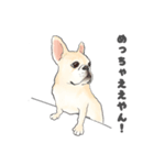 使える関西弁フレブル犬（個別スタンプ：18）