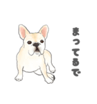 使える関西弁フレブル犬（個別スタンプ：21）