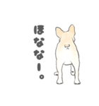 使える関西弁フレブル犬（個別スタンプ：22）