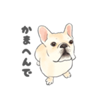 使える関西弁フレブル犬（個別スタンプ：24）