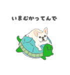 使える関西弁フレブル犬（個別スタンプ：25）