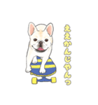 使える関西弁フレブル犬（個別スタンプ：29）