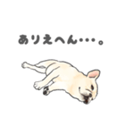 使える関西弁フレブル犬（個別スタンプ：32）