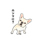使える関西弁フレブル犬（個別スタンプ：33）