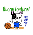 バスケ犬 イタリア語と日本語（個別スタンプ：20）
