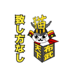 箱と丼と猫（日常で使える敬語スタンプ）（個別スタンプ：37）