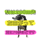 イタグレのもぐの日常（個別スタンプ：8）