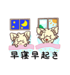 ふぅちゃんスタンプで健康管理（個別スタンプ：11）