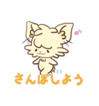 ふぅちゃんスタンプで健康管理（個別スタンプ：13）