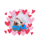 くぅちゃんスタンプーー（個別スタンプ：5）