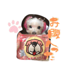 くぅちゃんスタンプーー（個別スタンプ：9）