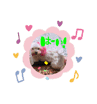 くぅちゃんスタンプーー（個別スタンプ：13）