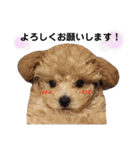 らいむみんと。その2（個別スタンプ：11）