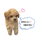 らいむみんと。その2（個別スタンプ：13）