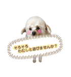 らいむみんと。その2（個別スタンプ：14）