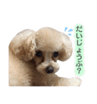 らいむみんと。その2（個別スタンプ：18）