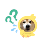 もものすけ part2（個別スタンプ：3）