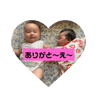 とら＆なな（個別スタンプ：4）