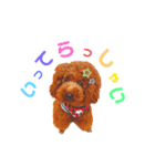 ムサマロ（個別スタンプ：1）