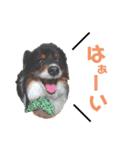 ムサマロ（個別スタンプ：3）