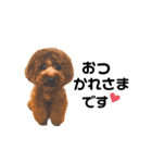 ムサマロ（個別スタンプ：5）