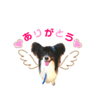 ムサマロ（個別スタンプ：8）