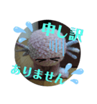 ウーパーくんの色々使えるスタンプ（実写）（個別スタンプ：15）