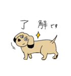 かわいくてやさしい犬の日常（個別スタンプ：6）