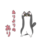 くろねことくつした（個別スタンプ：20）