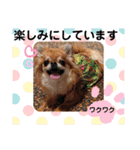 武居familiar8（個別スタンプ：1）