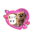武居familiar8（個別スタンプ：2）
