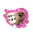 武居familiar8（個別スタンプ：3）